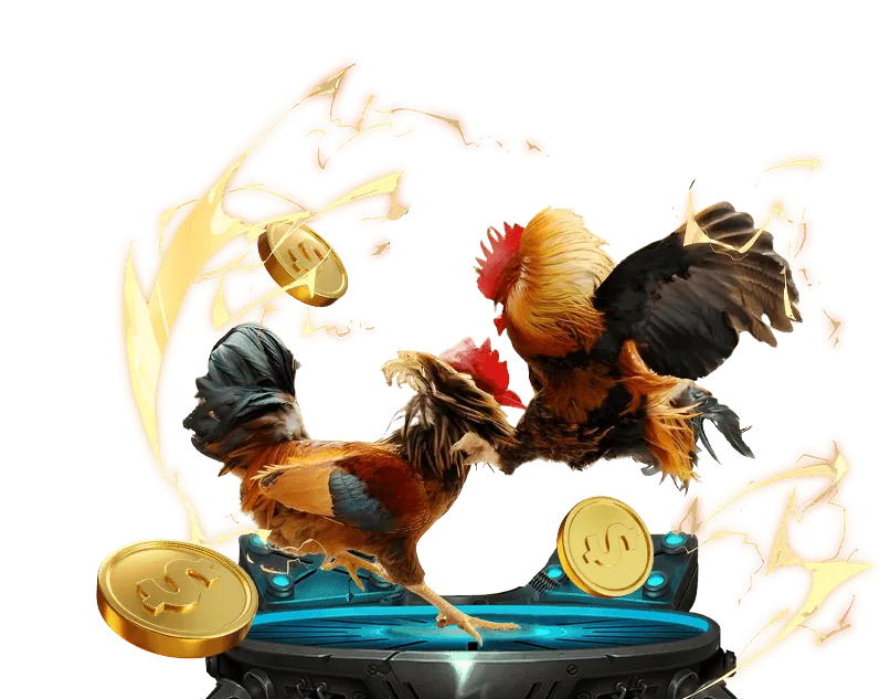 Hoàn trả thể thao kuwin nổ hũ